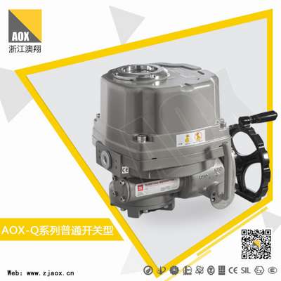 Rotary Electric Actuator